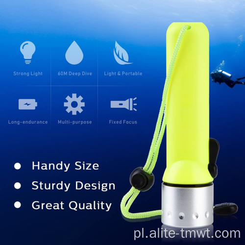 Lampka nurkowa LED o nurkowaniu o wysokiej intensywności